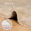 Solid Colour Standard Area Rug-509379270