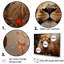 «Lion Wilderness Symphony» sur toile-773199725-773199716