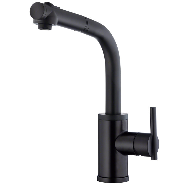 Parma Pull Out Single Handle Kitchen Faucet