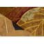 Wool Floral Area Rug