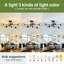Lustre spoutnik en verre 6 lumières-279664404-279664403
