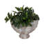 Finition opale bol en verre piédestal, multicolore-924563982-934598675