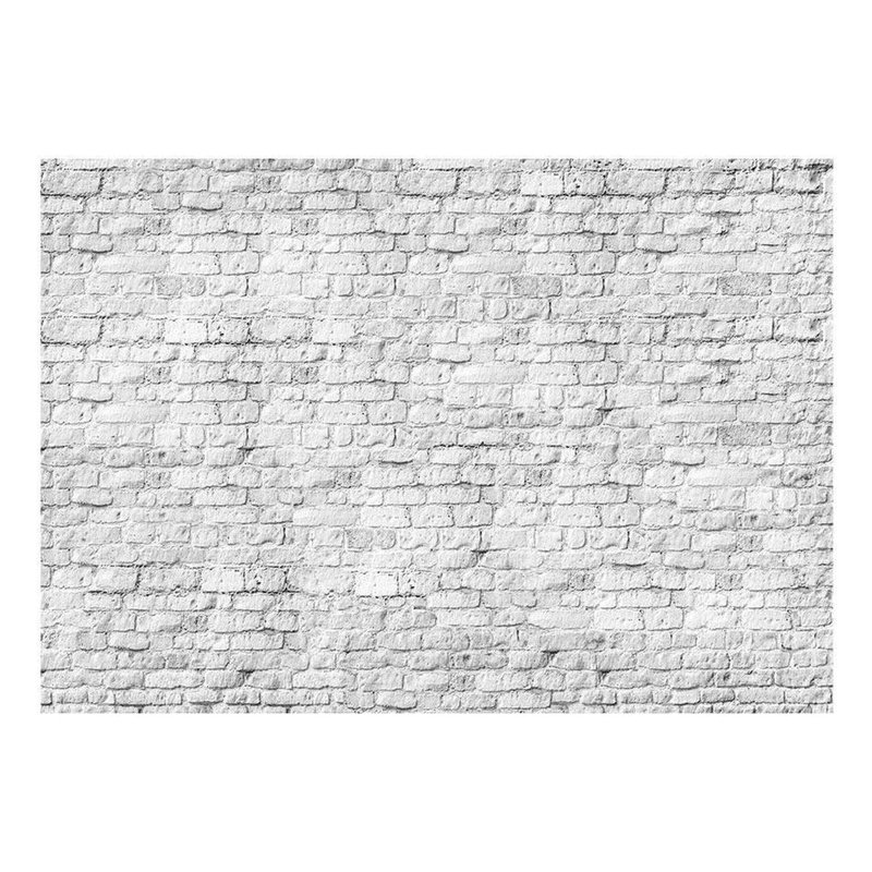 Mural mur de briques, L 96 po x l 137 po