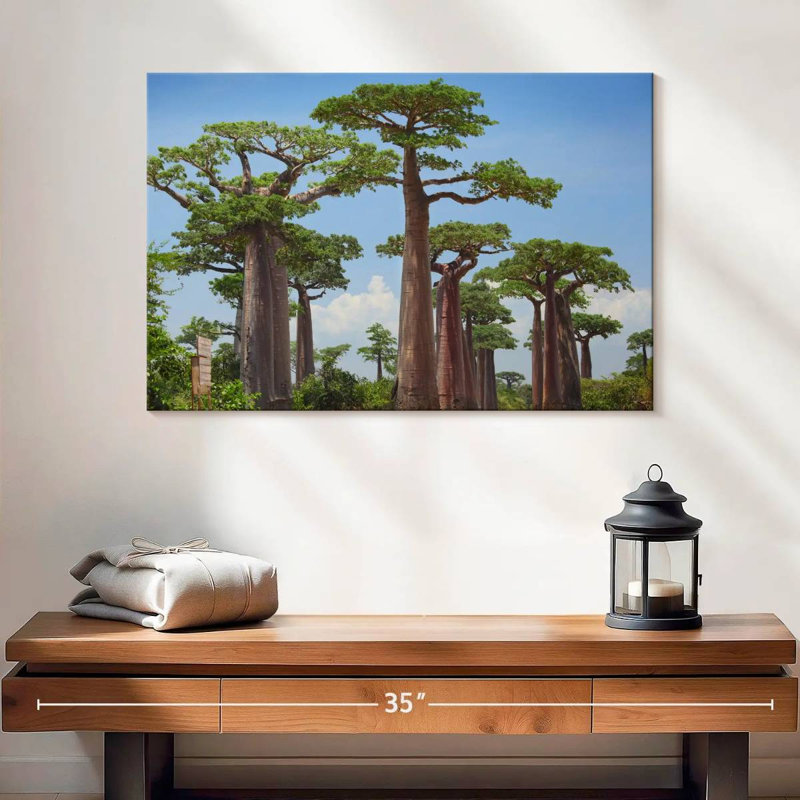 Réserve Harnek Baobab, H 16 po x l 24 po