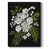 Black Framed Canvas is unavailable