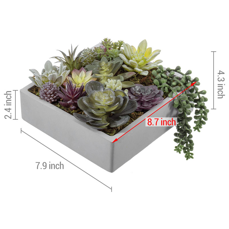 Artificial Succulent Fake Plants In Concrete Plant