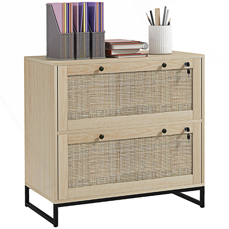 Entry Cabinet, 2 Drawer File Cabinet With Lock, Vertical Filing Cabinet With Keys