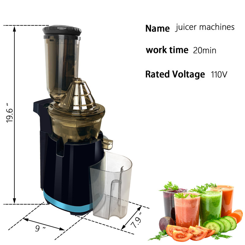  Extracteur de jus pressé à froid efficace pour extracteur de légumes entiers à basse vitesse