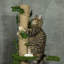 Myla Scratching Post-34715353