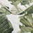 Tommy Bahama Fiesta Palms Green Cotton Reversible Quilt Set-50220195