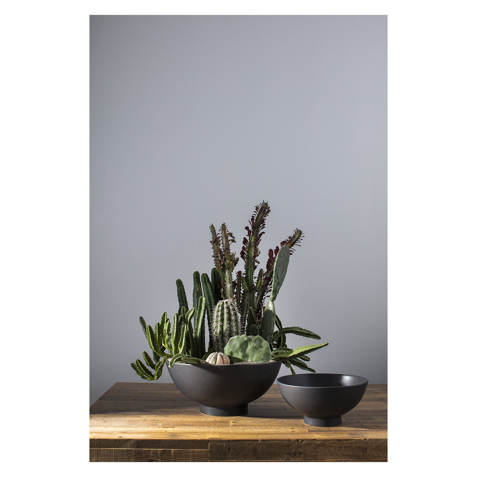 Allie Handmade Ceramic Pot Planter, 7.75'' H x 16.5'' W x 16.5'' D