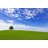 Green Field and Lonely Tree by Bertlmann-41291364