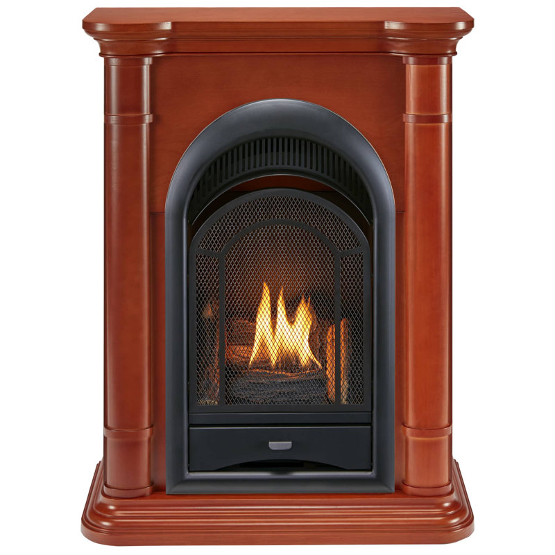 ProCom Dual Fuel Ventless Gas Fireplace System - 10,000 BTU, T-Stat Control, Apple Spice