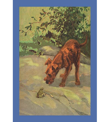 « irish terrier chiot » par diana thorne, reproduction d’art encadrée