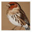 Tapis lavable oiseaux Finch-97902428