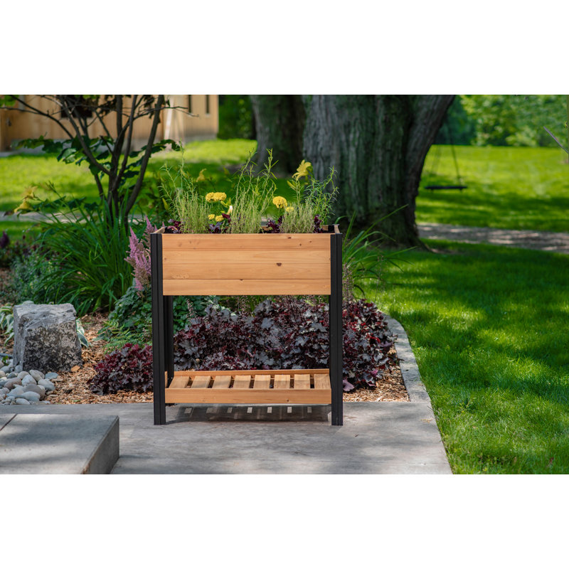 Mezza 42" Cedar Raised Herb Garden Bed with Black Aluminum Posts