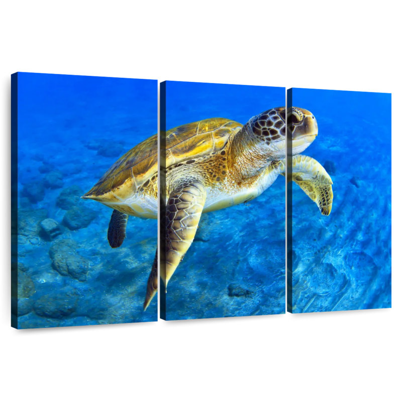 Tortue de mer, H 42 po x l 65 po
