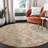 Anjuman Area Rug-1797422685