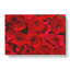 Seeing Red Flowers - Wrapped Canvas-61846925