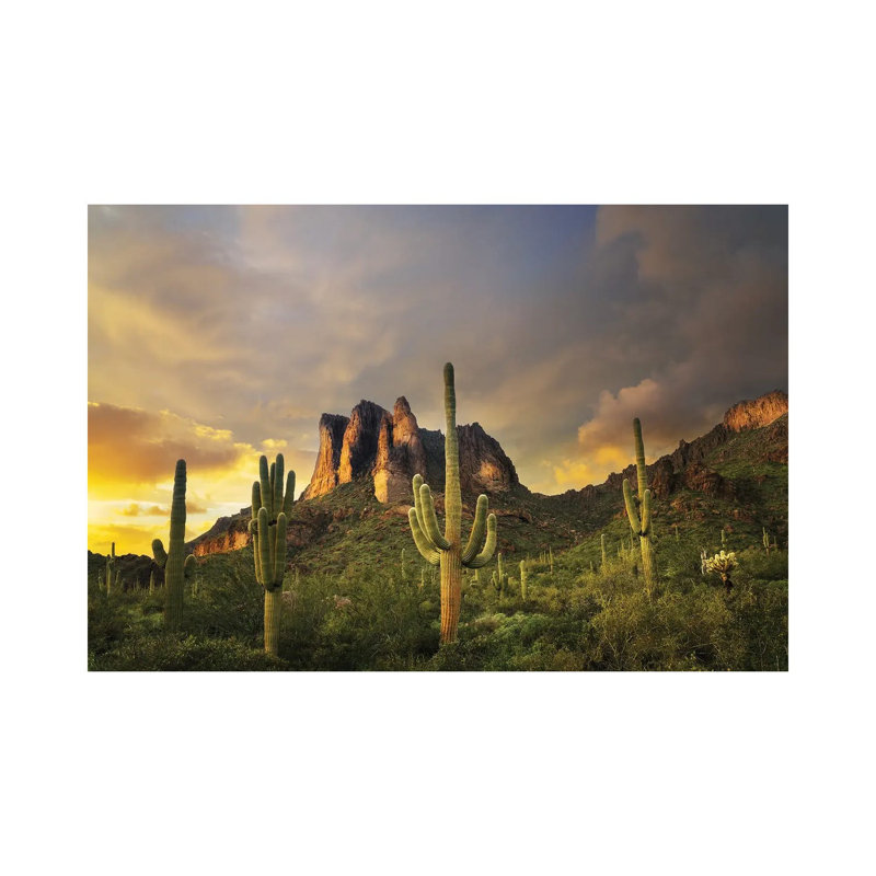 «Desert Sunset», reproduction d'art sur toile encadrée, H 12 po x l 18 po, Toile tendue, Ne s’applique pas