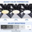 Très grand ventilateur de plafond noir 84 pouces avec télécommande 8 pales