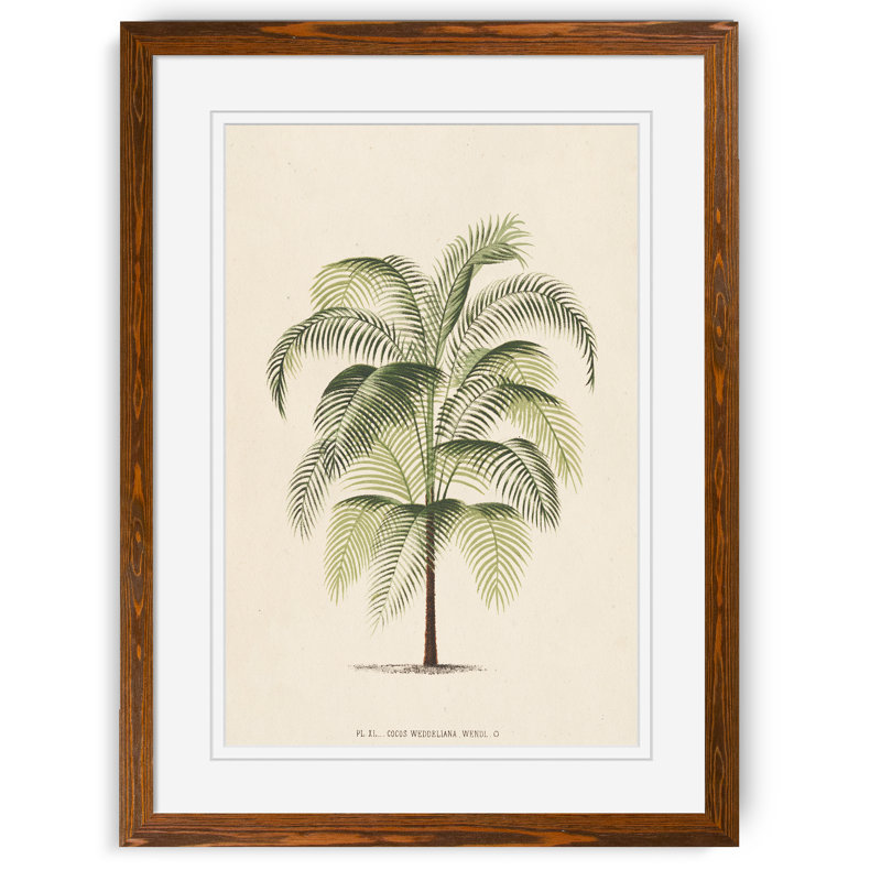 « palmierss iii » par paul cezanne-reproduction d’art sur image, H 22 po x l 30 po x P 1 po, Impression avec cadre érable