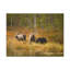No Frame Print on Canvas-932876849