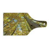 Ambesonne Scenery Tempered Glass Cutting Board Aspen Trees in Forest Yellow