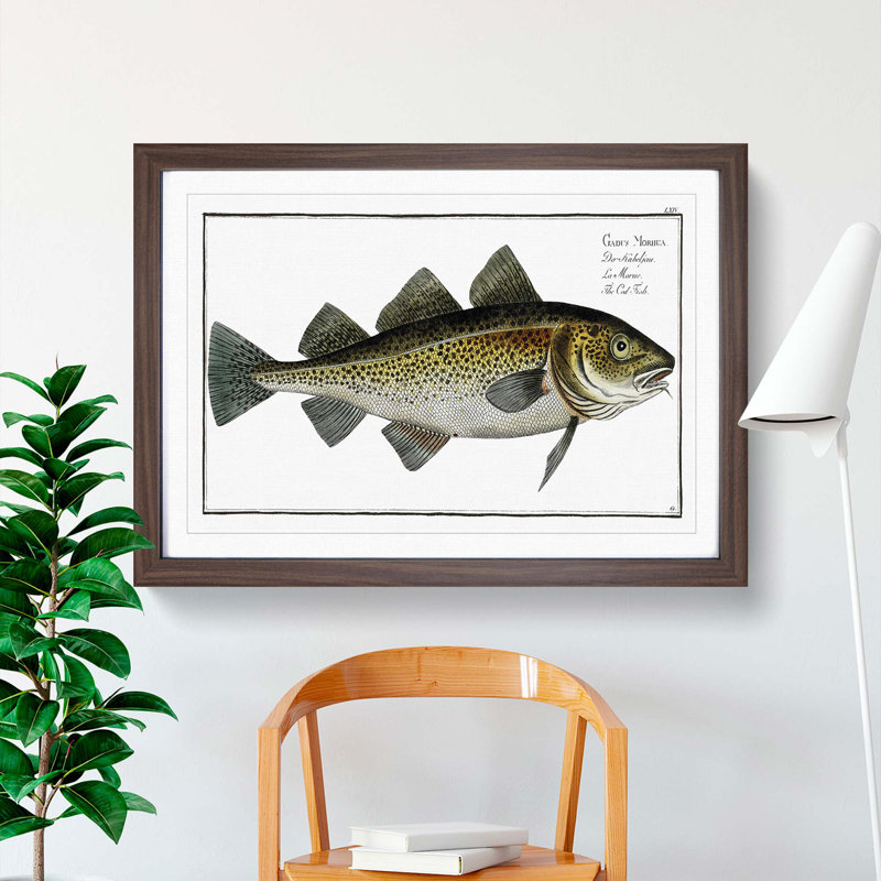 Cod Fish by M.E. Bloch - Picture Frame Painting, Walnut Framed, 36cm H x 48cm W x 2cm D