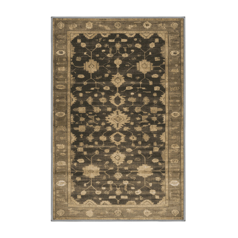 Machine Washable Overdyed Brown Area Rug, Rectangle 2' x 3'