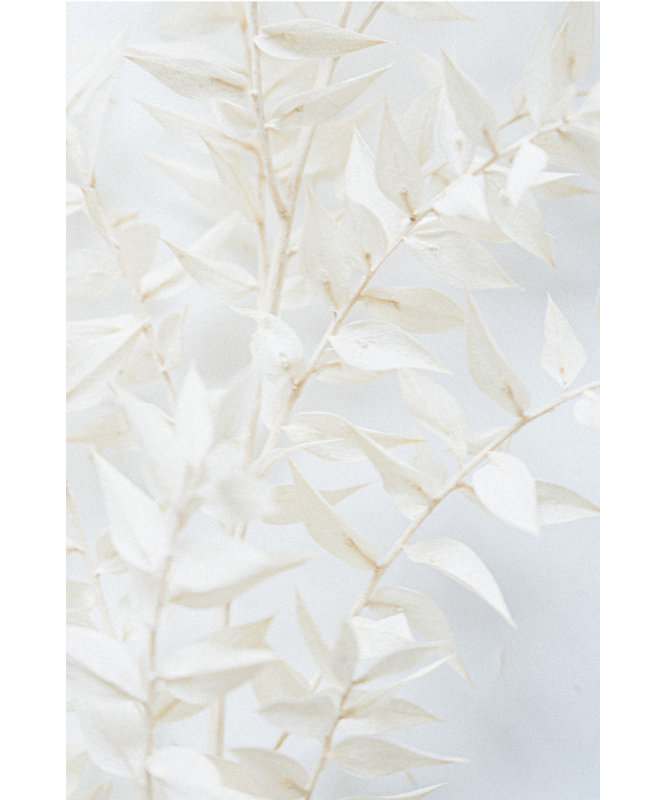 Wrapped Canvas Print, 76.2 cm H x 50.8 cm W