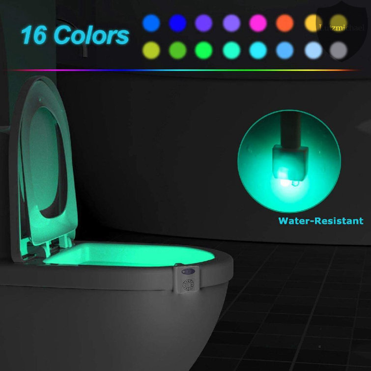 https://assets.wfcdn.com/im/51409740/resize-h755-w755%5Ecompr-r85/2297/229712475/LED+Toilet+Motion+Sensor+Night+Light.jpg