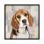 «Beagle», reproduction d'impression sur toile-72401925-33355666-72401926