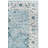 Delmer Performance Oriental Rug-1304339828