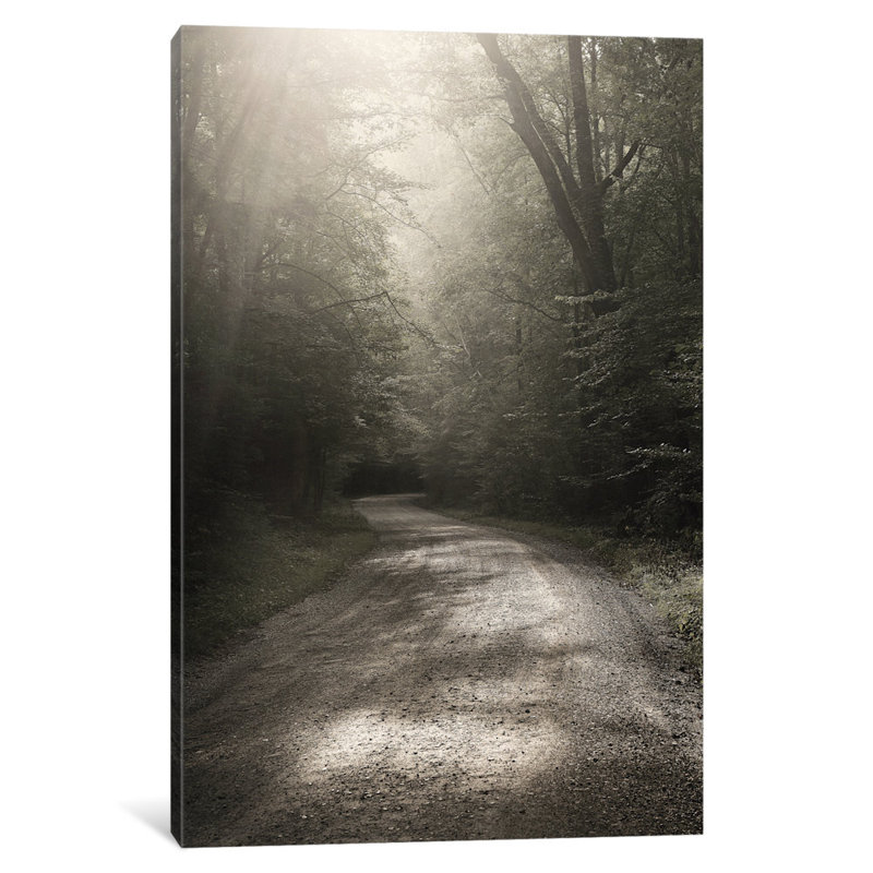 « back country road », reproduction de photo sur toile, H 12 po x l 8 po x P 0,75 po
