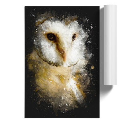 Barn Owl Paint Splash - Frameless Print