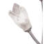 Cottone Metal Novelty Lamp-33401228