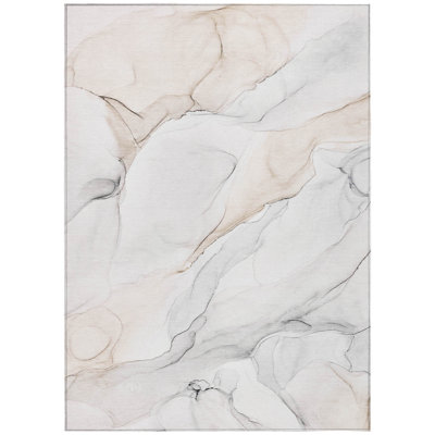 Kiaire Rectangle Area Rug