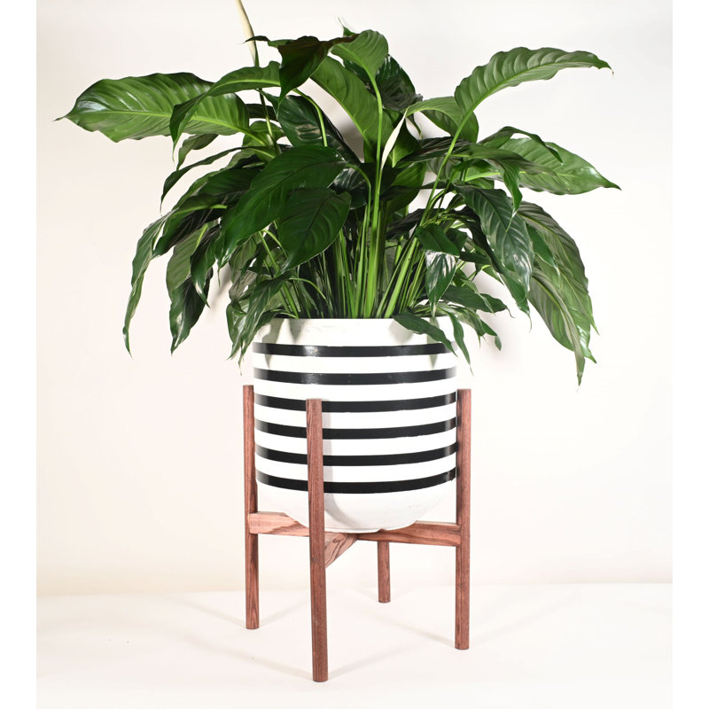 Pot à fleurs Leatherwood, 17" H x 15,25" lx 15,5" D, Noyer