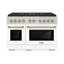 ZLINE Autograph 48 in. Paramount Dual Fuel Range w/ DuoPro Cooktop & Black Doors w/ Gold Accents-1789742093-1789742099