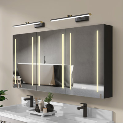 Baldwinsville 60'' W 30'' H Surface Mount Frameless Medicine Cabinet with Mirror and 6 Adjustable Shelves