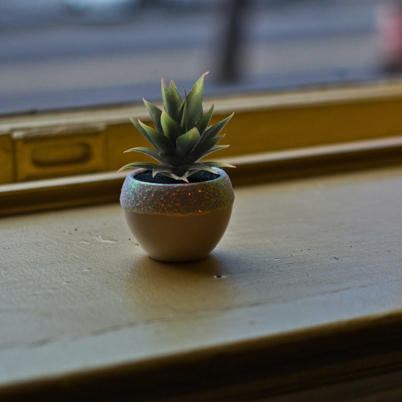 Artificial 6" Tall Artificial Succulent Plant