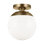 Leo 1 - Light Semi Flush Mount