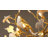 10- Light 32'' Ginkgo Chandelier
