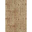 Pasha One-of-a-Kind 6'7" X 9'4" Hand Knotted Area Rug