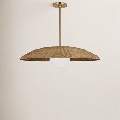Single Light Rattan Steel Dimmable Pendant