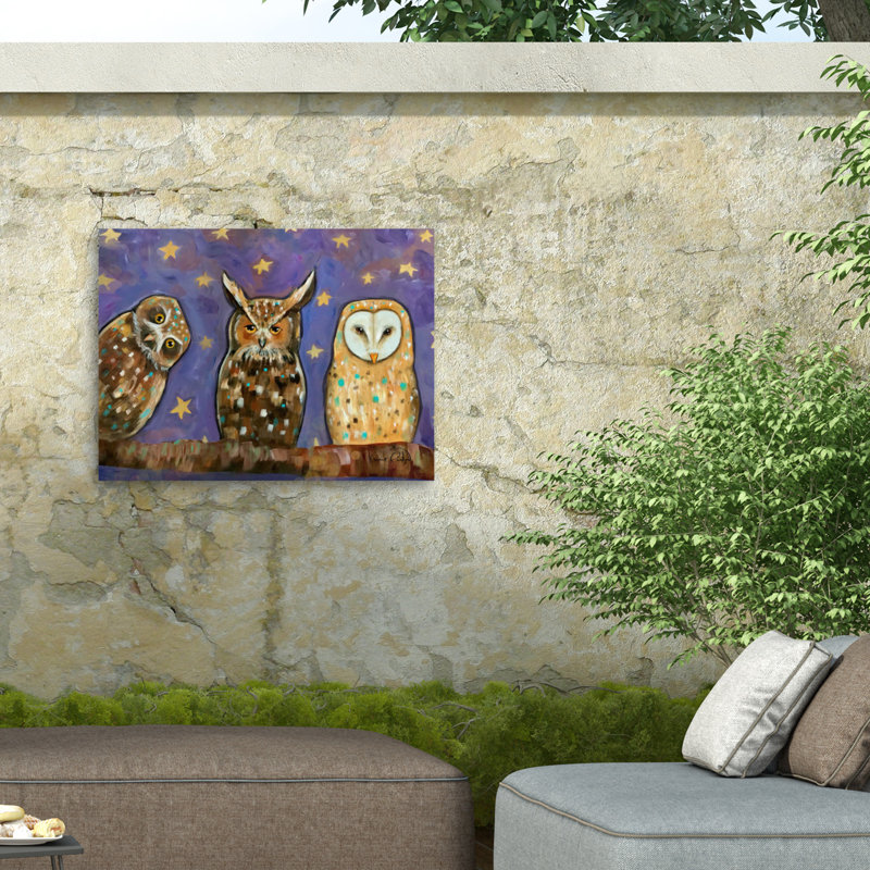 Toile d'extérieur Karrie Evenson Night Owls, H 14 po x l 19 po