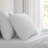 Martha Stewart Cotton Percale  Sheet Set-115629658-123293197