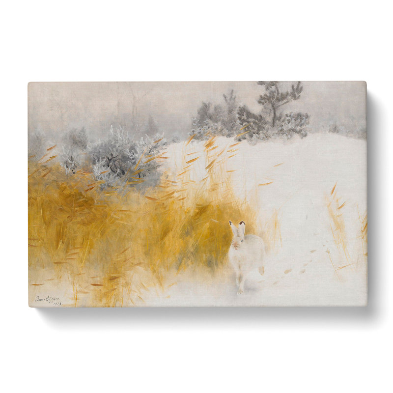 White Hare Vol.4 by Bruno Liljefors - Wrapped Canvas Painting, 50cm H x 76cm W x 3cm D