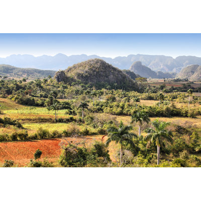 Cuba by Tupungato - Wrapped Canvas Print
